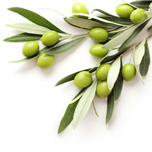 Olives Isolated