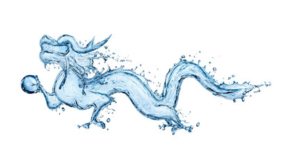 Wall Mural - Water dragon