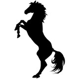 Fototapeta Konie - black horse silhouette 5