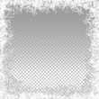 Transparent Vector Frozen Background