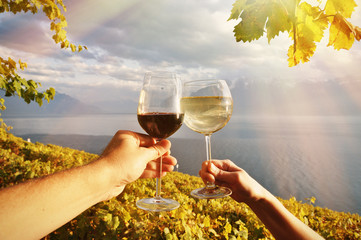 Wall Mural - Two hands holding wineglases against vineyards in Lavaux region,