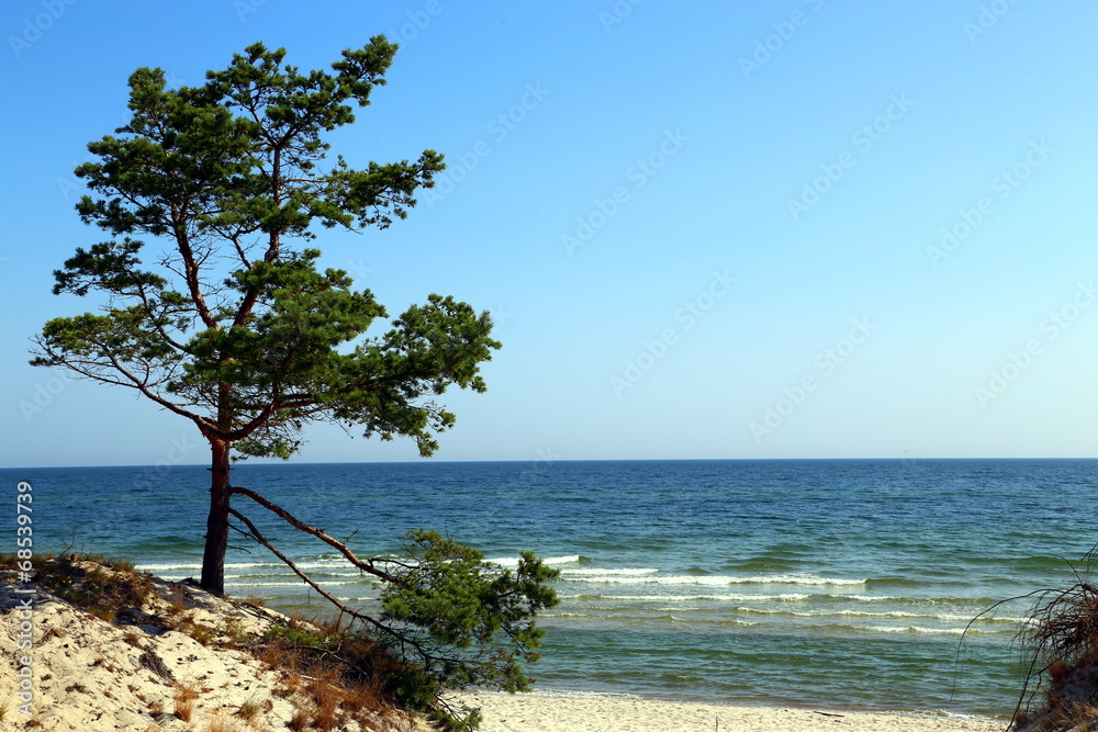 Morze Bałtyckie - obrazy, fototapety, plakaty 