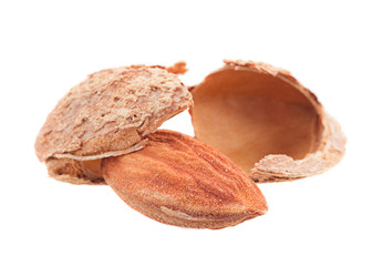 Almond nut