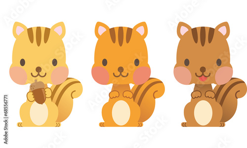 動物 リス セット Stock イラスト Adobe Stock