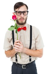 Poster - Geeky hipster offering a rose