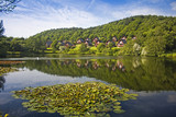 Fototapeta Do pokoju - Barend Holiday Village, Loch and Lodges. Lillies Foreground