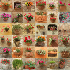 Wall Mural - wall made of many images with flowers in pots