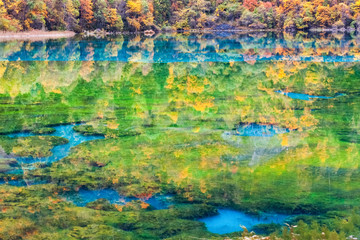 Sticker - colorful autumn in jiuzhaigou