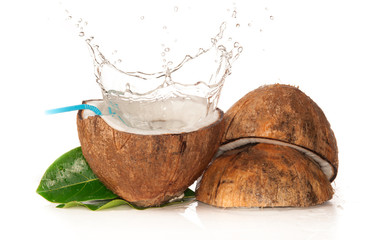 Sticker - Coconut with water splash over white