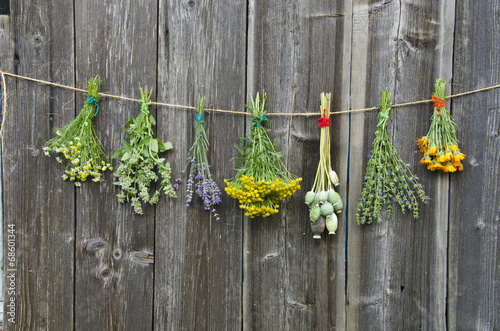 Fototapeta na wymiar medical herbs flowers bunch collection on old wooden wall