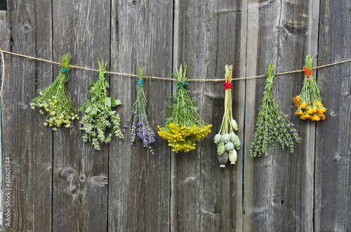 Fototapeta do kuchni medical herbs flowers bunch collection on old wooden wall