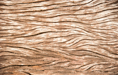 Wall Mural - wood texture. background old panels