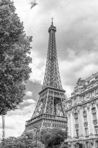 Obraz w ramie Eiffell Tower between the palaces of Paris