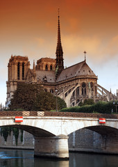 Wall Mural - La Seine et Notre Dame