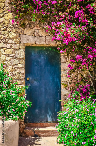 Naklejka na szybę Detail of colorful entrance door surrounded by flowers