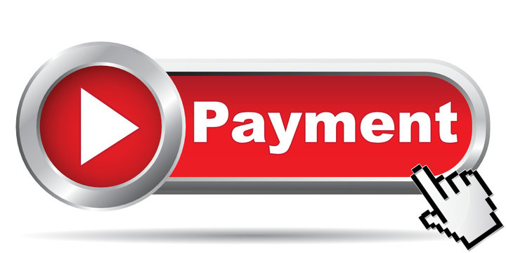 PAYMENT ICON