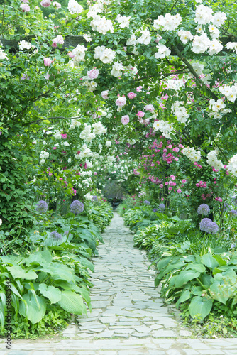 ogrod-w-japonii-z-kwitnaca-magnolia-i-brukowa-sciezka
