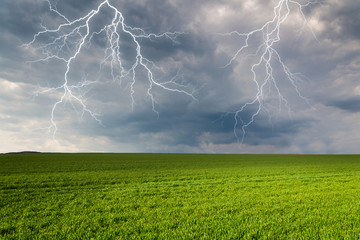 Wall Mural - thunderstorm with lightning in green meadow