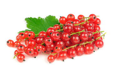 Wall Mural - Redcurrants Isolated on White Background