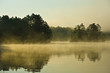 © Matt Frepp - Cache Lake Algonquin Park