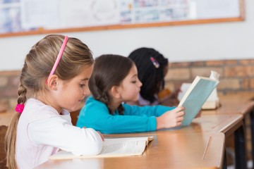 Wall Mural - Cute pupils reading books at their desks