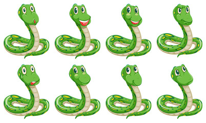 Poster - Different snake expressions