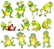 Set Of Frogs