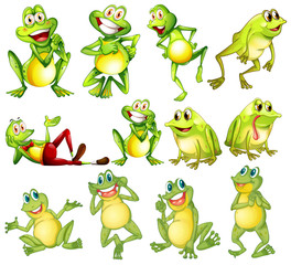 Wall Mural - set of frogs