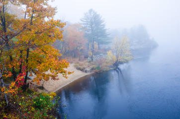  Foggy autumn day at a river in New England
