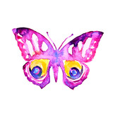 Fototapeta Motyle - butterflies design