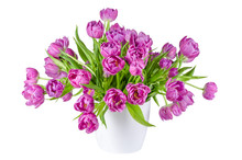 Bouquet Of Pink Tulips In Flowerpot Isolated On White