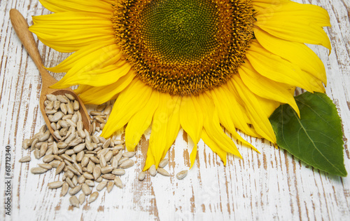Naklejka nad blat kuchenny Sunflower with Seeds