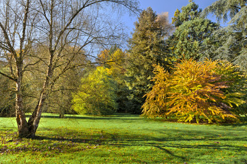 Wall Mural - Autumn Landscape. Park in Autumn. Dry leaves in the foreground.