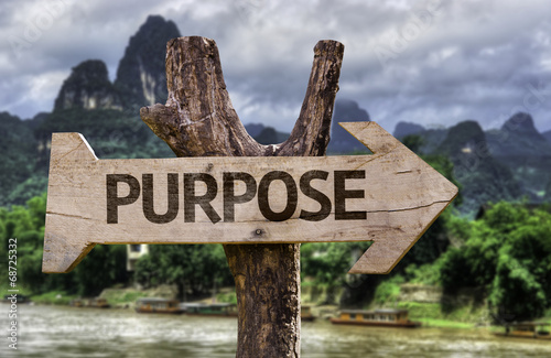Fotografía Purpose wooden sign with a forest background