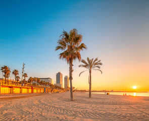 Wall Mural - barceloneta beach in barcelona at sunrise