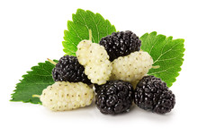 Black And White Mulberry Isolated On The White Background