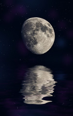 Wall Mural - moon