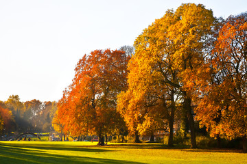 Wall Mural - Autumn Landscape.