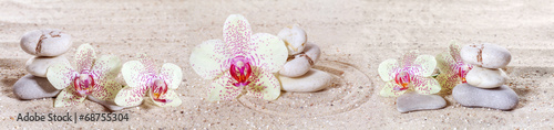 Obraz w ramie Panorama with orchids and zen stones in the sand