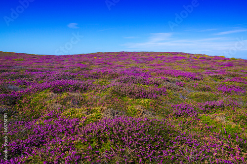 Naklejka dekoracyjna Bretagne