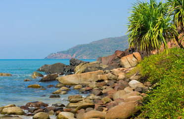 Wall Mural - Beach with palm trees