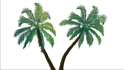 Wall Mural - Two palm trees