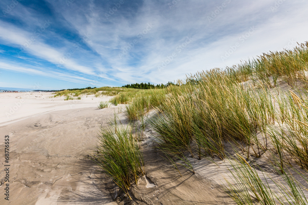Moving dunes park near Baltic Sea in Leba, Poland - obrazy, fototapety, plakaty 