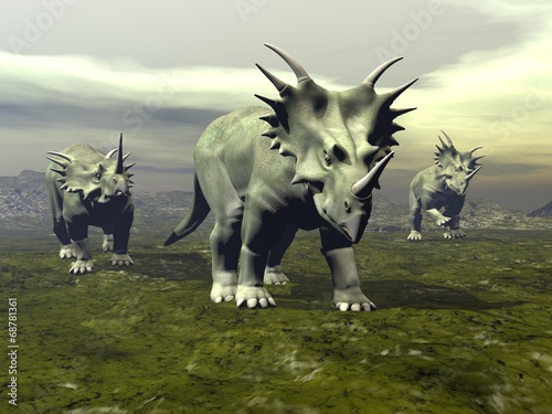Nowoczesny obraz na płótnie Styracosaurus dinosaurs walking - 3D render