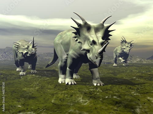 Naklejka na szybę Styracosaurus dinosaurs walking - 3D render