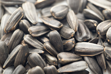 Sunflower seeds background