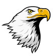 Bald eagle, American eagle, color version.