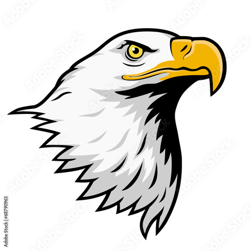 Fotografie, Tablou Bald eagle, American eagle, color version.