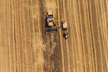 aerial view of combine on harvest field