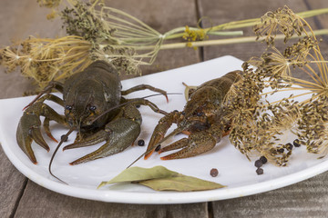 Two crayfish on the square plate on wooden background close-up